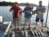 (07/14/2017) - Nice Striped Bass